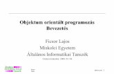 Objektum orientált programozás Bevezetésusers.iit.uni-miskolc.hu/ficsor/OOPSegedletek/oopbev.pdf · Ficsor Lajos Objektumorientáltprogramozás (Bevezetés) OOPALAP/ 2. A program