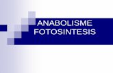 ANABOLISME FOTOSINTESIS · fotosintesis 8. Menjelaskan reaksi gelap fotosintesis 1. Melakukan percobaan enzim 2. Membuat laporan hasil percobaan enzim 3. Mempresentasikan laporan