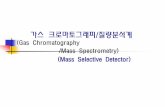 (Gas Chromatography /Mass Spectrometry) (Mass Selective …contents.kocw.net/KOCW/document/2013/gacheon/CHOIDonmuk/... · 2016-09-09 · 원리 - 분자가 . MS내로 들어가면
