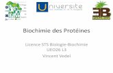 Biochimie des Protéines - EcoFoG · Biochimie, Eds De Boeck. (plus gros mais avec tout dedans notamment les techniques de purif.) •BCM-514 Biochimie des protéines de Benoit Leblanc,