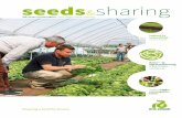 seeds sharing - Rijk Zwaan | Rijk Zwaan HURendkívül nagy fejeket nevel, gyakorlatilag csak 6-os méretet ad. A fajta fejlődése gyors, a szedési fejméret hamar kialakul és a