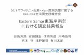 Eastern Samar東海岸南部 における調査結果報告 - …committees.jsce.or.jp/report/system/files/2_1_Tajima.pdf• Eastern Samar東海岸南部では，10mを越える高さまで瓦礫やココ