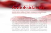 TÜBİTAK Bilim ve Teknik Dergisi Metallerden Hücrelere Bir Efsane …biyolojiegitim.yyu.edu.tr/bmk/antioksidan2010.pdf · 2010-10-31 · Beynin oksidatif strese karşı savunmasız