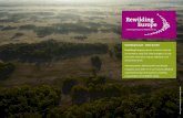 Rewilding Europe - Delta Dunării · 2012-08-27 · Rewilding Europe - Delta Dunării Rewilding Europe propune o viziune nouă de conservare a naturii la nivel european, în care
