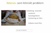 Ikterus- som kliniskt problemepipublic.vgregion.se/upload/SkaS/SRV/Läkarutb/icterussem-151013.pdf · Learning points: Pankreas cancer •Ca 900 nydiagnostiserade fall/år i Sverige