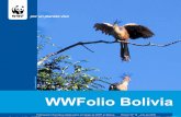 Publicación informativa digital sobre el trabajo de WWF en Bolivia …assets.panda.org/downloads/wwfolio18_espanol.pdf · 2009-08-11 · Pando y sus bosques de esperanza Si usamos