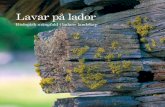 Lavar på lador - raa.se · 2018-06-11 · På den oplöjda smala ren som ofta omger ladorna kan växter finna ett livsutrymme. Några av de arter som tillhör odlingslandska-pet
