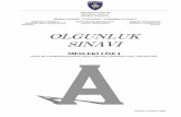 OLGUNLUK SINAVI - rks-gov.netB. Tanzimat edebiyatı C. Servet-i Fünun edebi. (I) Türk edebiyatı ve tarihi ile ilgili ilk bilimsel çalışmalar milli edebiyat döneminde yapılır.