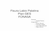 Fisura Labio Palatina Plan GES FONASA · 2012-08-25 · Fisura labio palatina • Niños recién nacidos • Ortopedia pre quirúrgica (aparato que moldea ala de nariz y paladar)