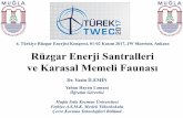 6. Türkiye Rüzgar Enerjisi Kongresi, 01 02 Kasım …...Temiz Enerji: Doğa İle “Barışık” Enerji Bilindiği gibi yapılan her yatırımın doğa üzerinde mutlaka bir etkisi