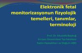Prof. Dr. Mustafa Başbuğ Erciyes Üniversitesi Tıp ...tmftp.org/webkontrol/uploads/files/MustafaBasbug2016sunum.pdf · Egzersiz: Aşırı egzersiz kan akımını somatik kas gruplarına