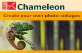 AKVIS Chameleondownload.akvis.com/old-chameleon-de.pdfProgrammregistrierung 7 Programmregistrierung Sie können eine Lizenz für AKVIS Chameleon über die offizielle Web-Seite bestellen.