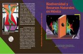 Biodiversidad y Recursos - División de Ciencias …dicea.chapingo.mx/wp-content/uploads/2019/01...cantidad de nutrientes extraída tampoco es igual a la cantidad de nutrientes absorbidos
