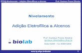 Adição Eletrofílica a Alcenos · PPGQ-Nivelamento – Adições Eletrofílicas a alcenos Prof. Gustavo Pozza Silveira 3 Setas Curvas (revisão) A adição eletrofílica de brometo