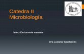 Catedra II Microbiologíaold.fmed.uba.ar/depto/microbiologia/catedra2/21_Agentes_microbianos_en_sangre.pdf(RETROCULTIVO HEMOCULTIVO) Cultivo cuantitativo (RETROCULTIVO HEMOCULTIVO)