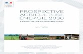 PROSPECTIVE AGRICULTURE ÉNERGIE 2030 · 2011-01-18 · Cette synthèse présente les principaux résultats de la prospective Agriculture Énergie 2030, basée sur les travaux d’un