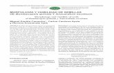 MORFOLOGÍA Y VIABILIDAD DE SEMILLAS …scielo.sld.cu/pdf/ctr/v38n4/ctr12417.pdf77 Para el estudio de la viabilidad de las semillas, se realizó una tinción con 2, 3, 5 trifenil cloruro