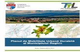 Planul de Mobilitate Urbană Durabilă al Municipiului …...Planul de Mobilitate Urbană Durabilă al Municipiului Reghin 3 /193 LISTĂ FIGURI (1) PMUD - componenta de nivel strategic