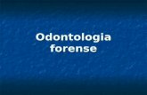 Odontologia forense - units.it · Odontologia forense Con questo termine si comprendono tutte le attività di antropologia forense tipiche dell’odontoiatra È sempre più gestita