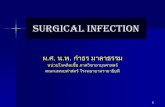 Antimicrobial agents for intra-abdominal infections · หน่วยโรคติดเชื้อ ภำควิชำอำยุรศำสตร์ คณะแพทยศำสตร์