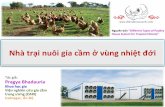 Nhà - chimcanhviet.vnchimcanhviet.vn/ebook/nha_trai_gia_cam.pdf · Mô hình bán tập trung Thườngđượccác nhà chănnuôi quy mô nhỏáp dụng Gà vừaởtrong nhà