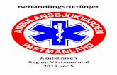 Behandlingsriktlinjer Ambulanssjukvården Västmanland · 2019-06-26 · heltäckande för alla de sjukdomar och skador som sjuksköterskan i ambulans kan komma i kontakt med. Ytterligare