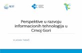 Perspektive u razvoju informacionih tehnologija u Crnoj Gori · MOBILNA KONVERGENCIJA INTERNET TRGOVINA, PayPal SAJBER BEZBJEDNOST. Mobilna mreža ... Učešće tehnologija u ukupnom