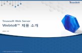 Tmaxsoft Web Server WebtoB™ 제품 소개 · •GUI 기반의 웹 관리자 및 Command Line 관리자 툴을 통하여 시스템 조회/제어, 환경파일 설정, 모니터링