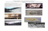 Meteorització – la destrucció de les roques · PDF file referència a la destrucció in situ de les roques i no inclou la retirada dels fragments formats (això s’anomena “erosió”).