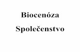 Biocenóza Společenstvo - MENDELUuzrhv.af.mendelu.cz/wcd/w-af-uzrhv/zoo/zoo_vyukove... · Druhové bohatství na světě hmyz 900 000 cévnaté rostliny 250 000 z toho brouci 400