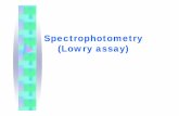 Spectrophotometry (Lowry assay) - CHERIC · 2013-12-19 · Reagents Table 1.Reagents for experiment. Solution 용질 용매Total vol. A 0.5g CuSO₄5H2O 1g Na3C6H5O7(2H2O) D.W 100ml