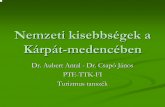Dr. Aubert Antal - Dr. Csapó János PTE-TTK-FI Turizmus ...balkancenter.ttk.pte.hu/turizmus/letoltes/kisebbsegek.pdf · KÖZÉP- És DÉLKELET-EURÓPA NEMZETISÉGI TÉRKÉPE 1989-1992