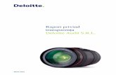 Raport privind transparența Deloitte Audit S.R.L. · 2019-10-26 · În calitate de firmă de audit ce efectuează audituri statutare ale conturilor anuale ale unor entități de