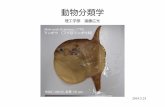 動物分類学 - Kochi U...動物分類学 2019.5.23 Mola mola (Linnaeus, 1758) マンボウ （フグ目マンボウ科） 理工学部 遠藤広光 BSKU 108218, 全長 130 mm マンボウ属の学名確定