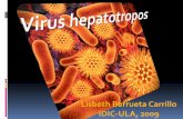 Lisbeth Berrueta Carrillo · 2009-11-20 · Infecciones crónicas por virus hepatotropos: Mecanismos de alteración de la respuesta inmune celular Cantidades elevadas del HBeAg son