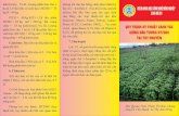 phê, tiêu, cây ăn quả…) có thể trồng xenast.apmb.gov.vn/Upload/Download/Ketquanghiencuudetai/26.MaiQuangVinh.pdf · 1. Giống Giống đậu tương DT2008 do Viện
