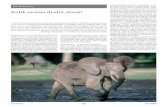 Bezpečně víme, že kořeny chobotnatců Kolik známe druhů slonů?ziva.avcr.cz/files/ziva/pdf/kolik-zname-druhu-slonu.pdf · Zatímco sudokopytníci skytovci a lichokopytníky