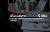LUCA Sunumu - archive.ismmmo.org.tr · olmayan nihai tüketici mahiyetindeki müşteriler tarafından T.C. Kimlik Numarası bilgilerinin paylaşılmak istenmediği hallerde, e-Arşiv