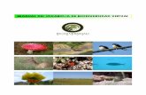 Biodiversidad Virtual 2014 · Biodiversidad Virtual (BV) es un proyecto nacido en 2008 como consecuencia del funcionamiento desde 1995 de Insectarium Virtual (IV), la primera web