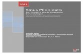 BWS Hanneke Meijer (3261506) - Sinus Pilonidalis - Een overzicht … · 2015-11-07 · sinus pilonidalis verhogen. Tabel 1 - Risicofactoren voor het ontstaan van een sinus pilonidalis