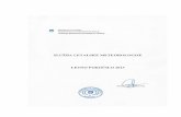 KAZALO - hmljn.arso.gov.sihmljn.arso.gov.si/o agenciji/knjižnica/publikacije/SLM letno poročilo 2013.pdf · Vizija je izvajanje poslanstva na strokoven, kakovosten in u činkovit