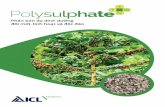 S K Mg Ca - Polysulphate · Polysulphate là một loại phân bón tự nhiên 4 trong 1 mới giúp tăng sản lượng cây trồng. Polysulphate chứa 4 loại dinh dưỡng