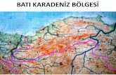 BATI KARADENİZ BÖLGESİ - Ankara Üniversitesigeography.humanity.ankara.edu.tr/wp-content/... · Batı Karadeniz bölgesi şu ünitelere ayrılmaktadır: 1.Kıyı kuşağı 2.Çam