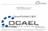 OpenFOAMのご紹介 - hpci-office.jp · ‣熱物理モデル(形態係数放射、薄板・ポーラスの熱解析) ‣化学機能(火災解析用の熱分解モデル、化学反応ソルバ)