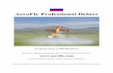 AeroFly Professional Deluxeplanetahobby.ru/manuals/Ikarus_AFPD_manual_rus.pdf · · 100 % совместимый Intel Pentium-4 или AMD64 процессор, с частотой