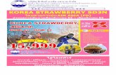 KOREA STRAWBERRY 5D3N · korea strawberry 5d3n โดยสายการบิน air asia (fd) ก าหนดการเดินทางเดือนธันวาคม