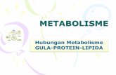 METABOLISME - victorianussugiyanto.files.wordpress.com · Metabolisme LIPID, KARBOHIDRAT, dan PROTEIN Melalui jalur pembentukan senyawa dasar LIPID, KARBOHIDRAT, dan Protein LIPID