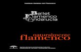 Ballet Flamenco de Andalucía Andalucía...4 5 Histórico El Ballet Flamenco de Andalucía es el máxi mo representante institucional del arte jondo, ejercien do de embajador del flamenco
