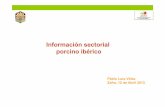 Información sectorial porcino ibérico LARA ZAFRAABRIL2013.pdf · Pablo Lara Vélez Zafra, 12 de Abril 2013. Magnitudes sectoriales OFERTA: Producciones DEMANDA: ... €/arroba Precio
