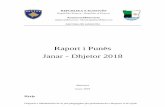 Raport i Punës Janar -Dhjetor 2018 - rks-gov.net · Zbaton normat, standardet e infrastrukturës dhe burimeve njerëzore t ë ... Sektori për punë financiare, juridiko-administrative